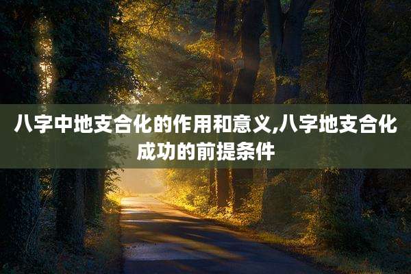 八字中地支合化的作用和意义,八字地支合化成功的前提条件