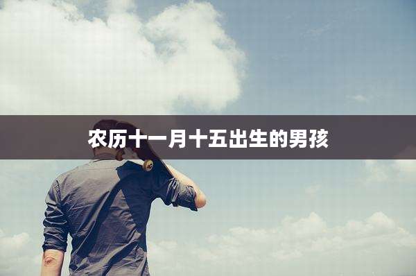 农历十一月十五出生的男孩