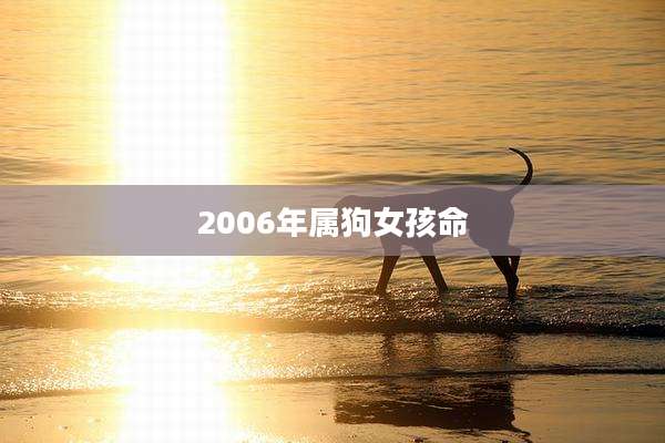 2006年属狗女孩命