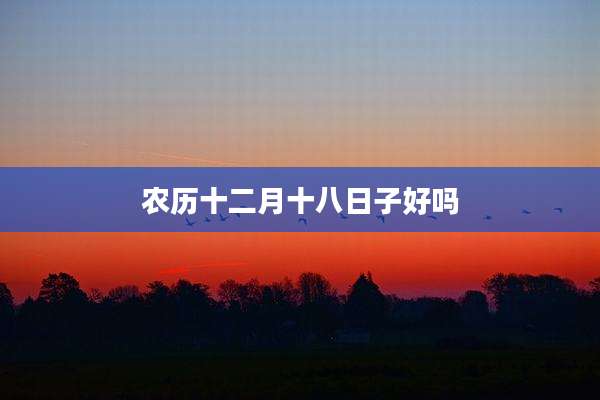 农历十二月十八日子好吗
