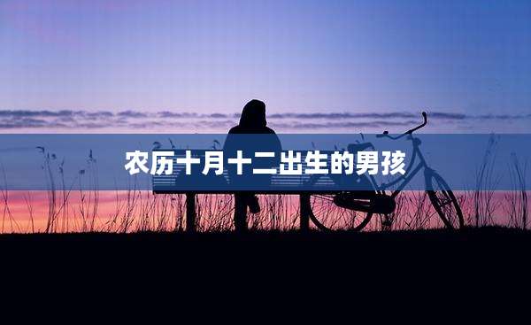 农历十月十二出生的男孩