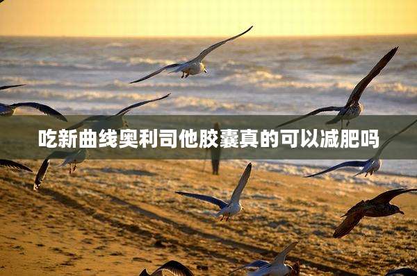 吃新曲线奥利司他胶囊真的可以减肥吗