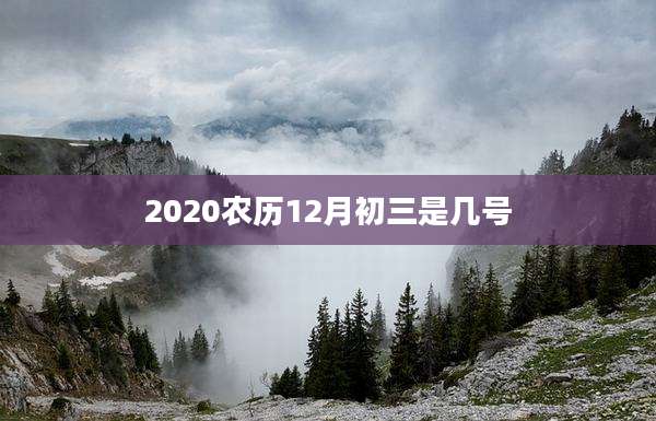 2020农历12月初三是几号