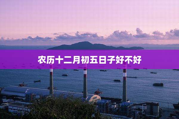 农历十二月初五日子好不好