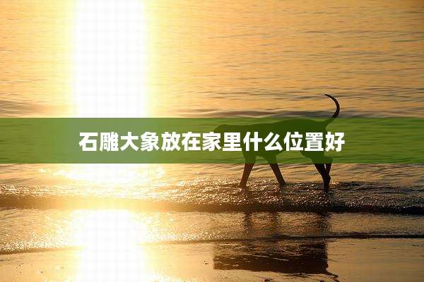 石雕大象放在家里什么位置好