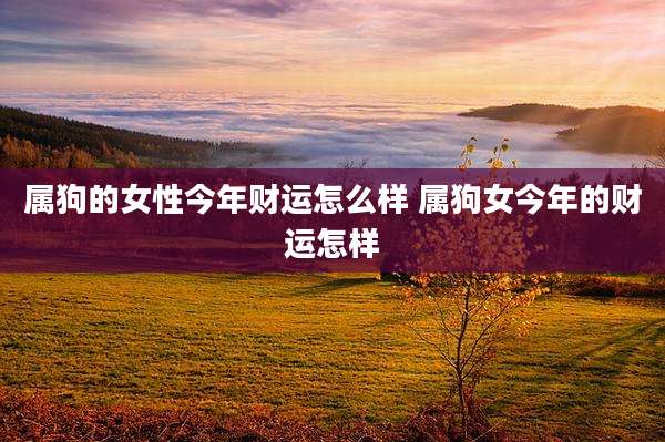 属狗的女性今年财运怎么样 属狗女今年的财运怎样