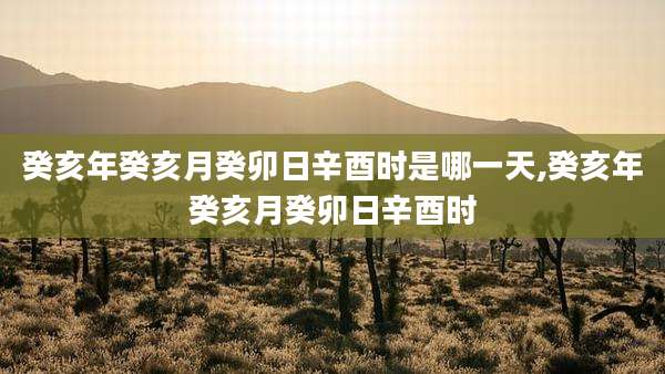 癸亥年癸亥月癸卯日辛酉时是哪一天,癸亥年癸亥月癸卯日辛酉时
