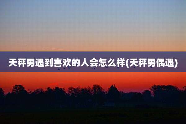 天秤男遇到喜欢的人会怎么样(天秤男偶遇)