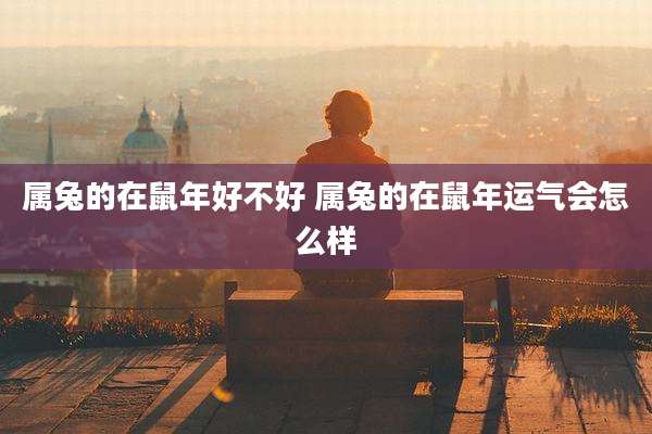 属兔的在鼠年好不好 属兔的在鼠年运气会怎么样