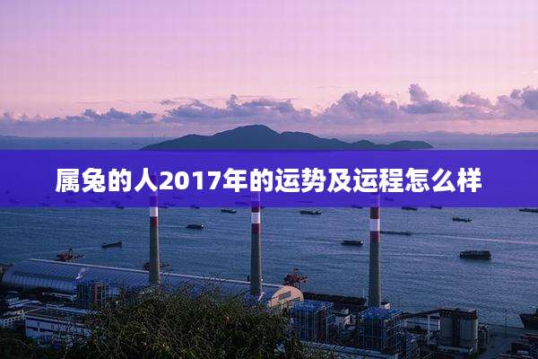 属兔的人2017年的运势及运程怎么样