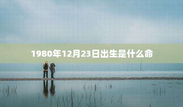 1980年12月23日出生是什么命