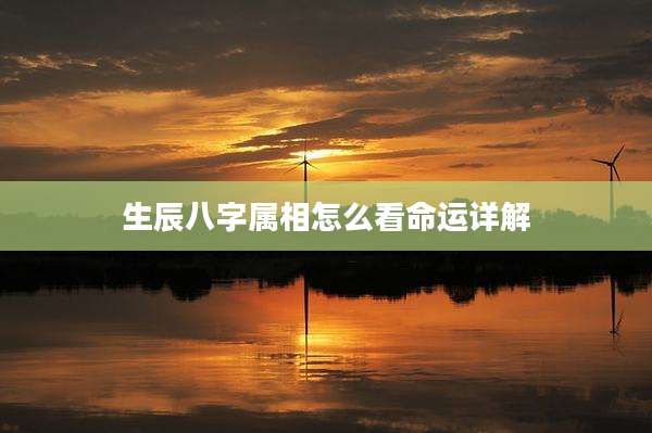 生辰八字属相怎么看命运详解