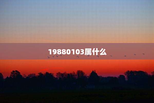 19880103属什么