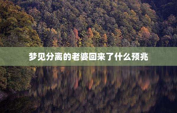 梦见分离的老婆回来了什么预兆