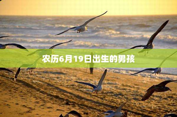 农历6月19日出生的男孩