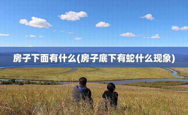 房子下面有什么(房子底下有蛇什么现象)