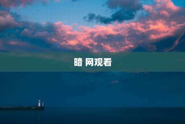暗 网观看