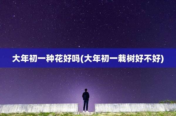 大年初一种花好吗(大年初一栽树好不好)