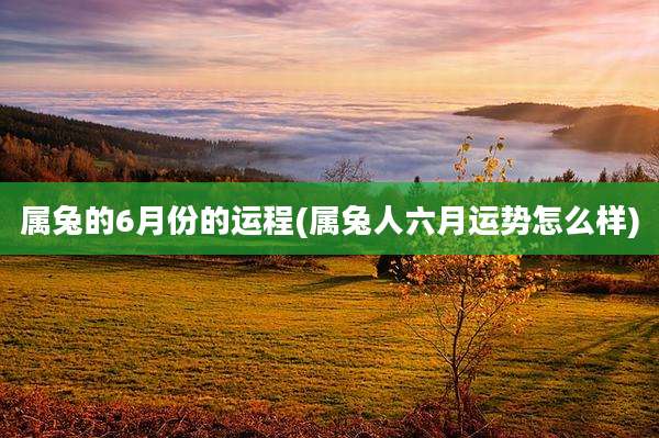 属兔的6月份的运程(属兔人六月运势怎么样)