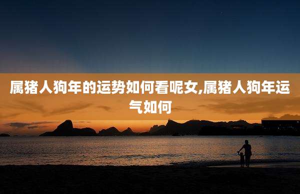 属猪人狗年的运势如何看呢女,属猪人狗年运气如何