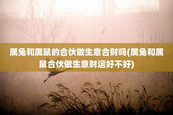 属兔和属鼠的合伙做生意合财吗(属兔和属鼠合伙做生意财运好不好)