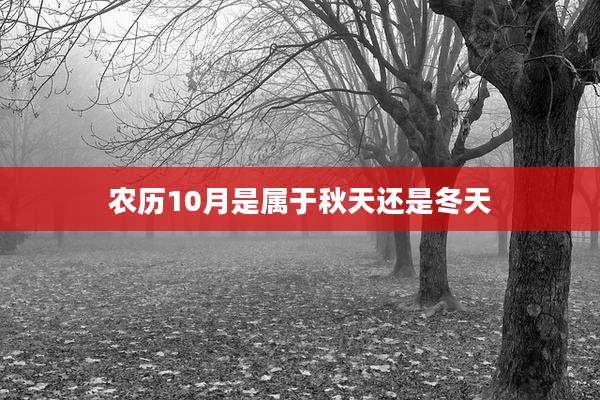 农历10月是属于秋天还是冬天