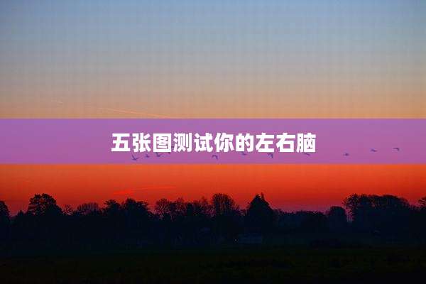五张图测试你的左右脑