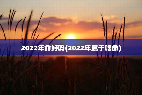 2022年命好吗(2022年属于啥命)