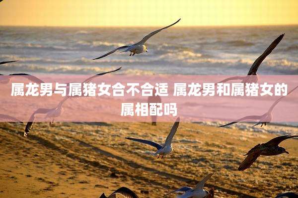 属龙男与属猪女合不合适 属龙男和属猪女的属相配吗