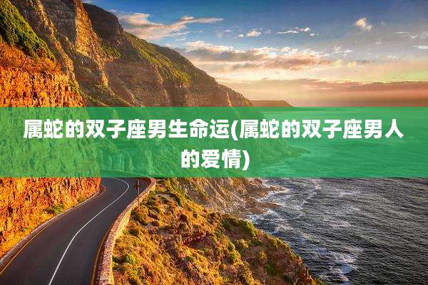 属蛇的双子座男生命运(属蛇的双子座男人的爱情)