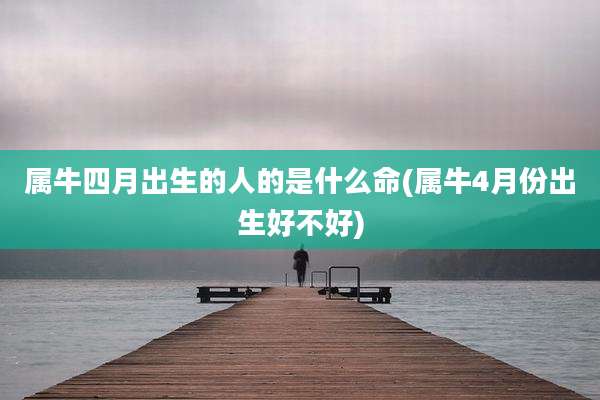 属牛四月出生的人的是什么命(属牛4月份出生好不好)