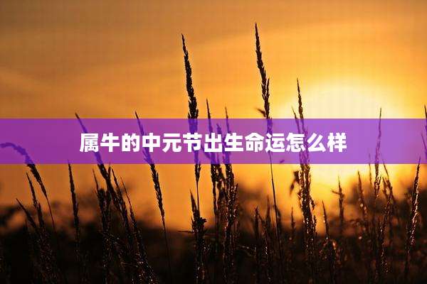 属牛的中元节出生命运怎么样