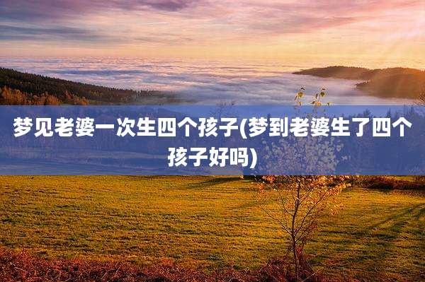 梦见老婆一次生四个孩子(梦到老婆生了四个孩子好吗)