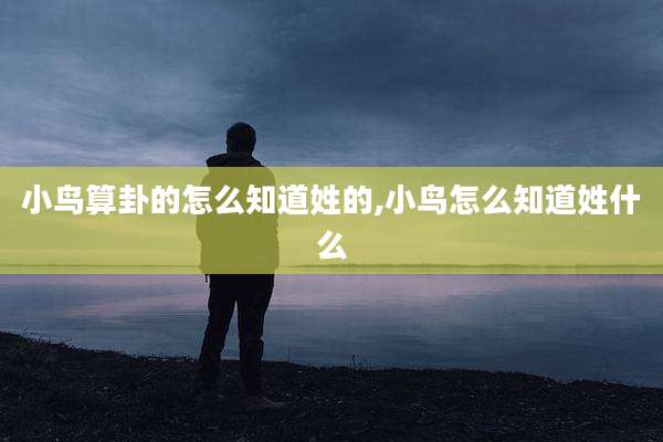 小鸟算卦的怎么知道姓的,小鸟怎么知道姓什么