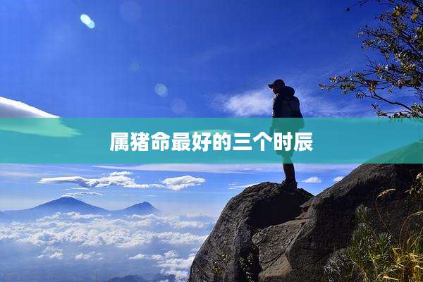 属猪命最好的三个时辰
