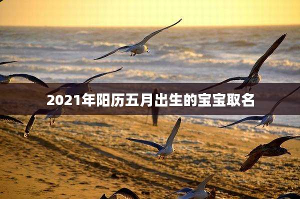 2021年阳历五月出生的宝宝取名