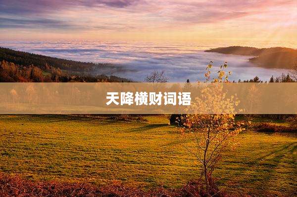 天降横财词语