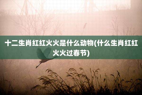 十二生肖红红火火是什么动物(什么生肖红红火火过春节)
