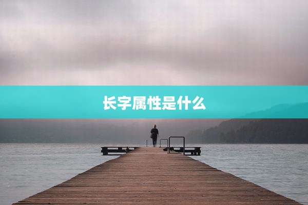 长字属性是什么