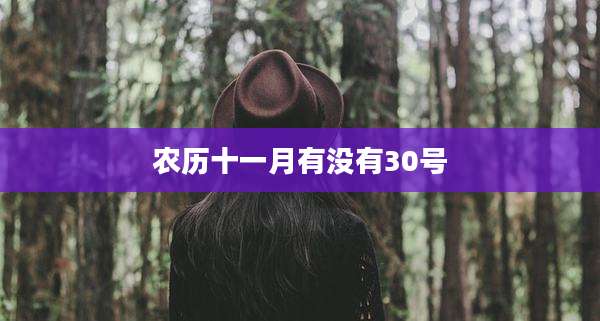 农历十一月有没有30号