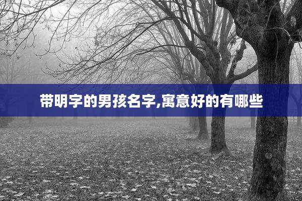 带明字的男孩名字,寓意好的有哪些