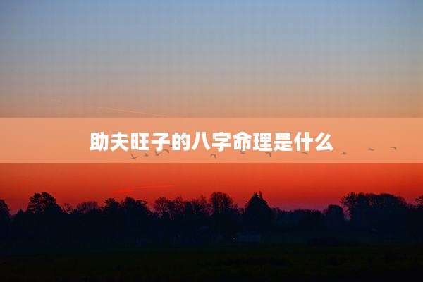 助夫旺子的八字命理是什么