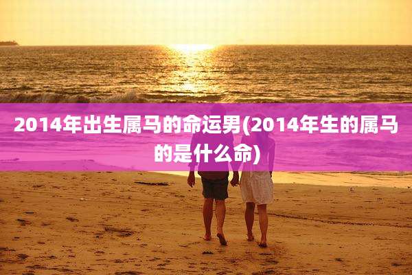 2014年出生属马的命运男(2014年生的属马的是什么命)