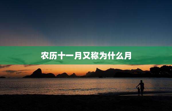 农历十一月又称为什么月