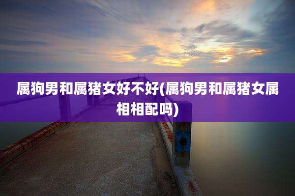 属狗男和属猪女好不好(属狗男和属猪女属相相配吗)
