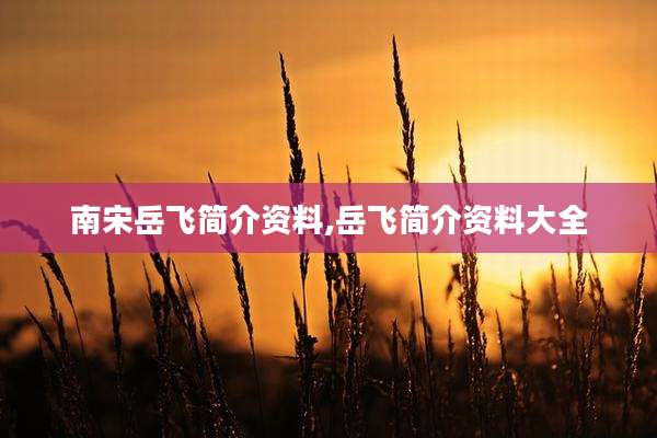 南宋岳飞简介资料,岳飞简介资料大全