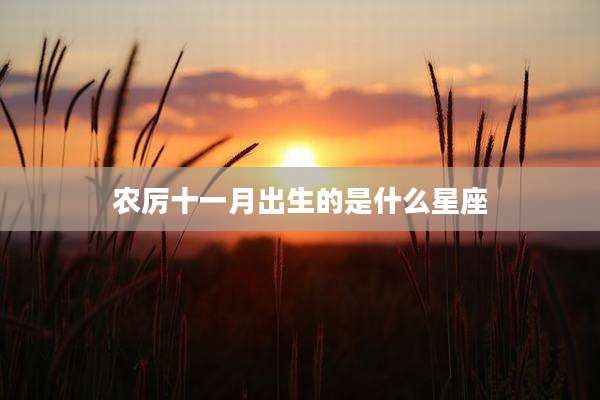 农厉十一月出生的是什么星座