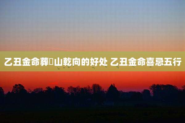 乙丑金命葬簨山乾向的好处 乙丑金命喜忌五行