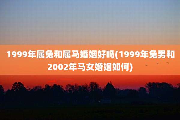 1999年属兔和属马婚姻好吗(1999年兔男和2002年马女婚姻如何)