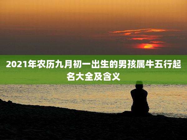 2021年农历九月初一出生的男孩属牛五行起名大全及含义